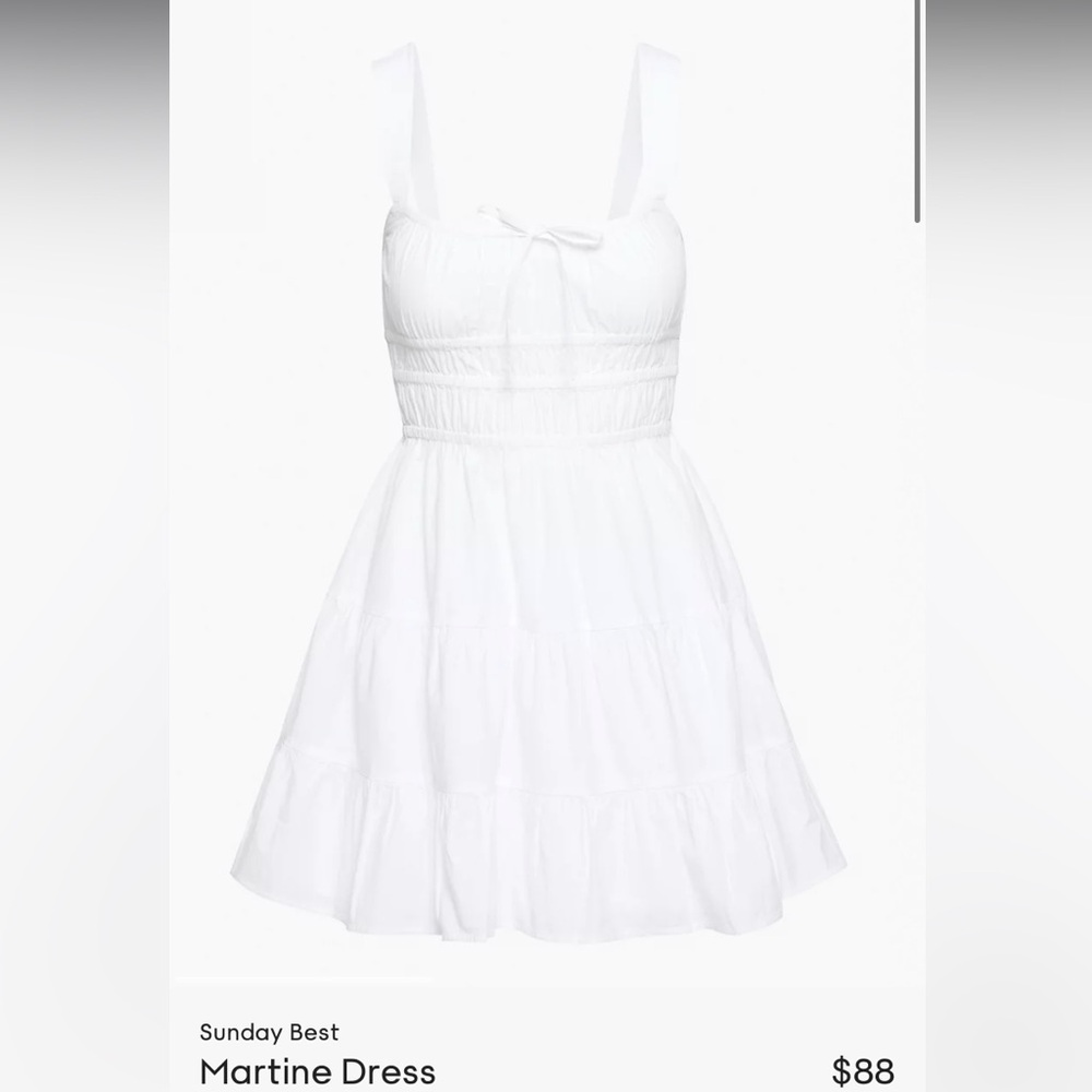 Aritzia Sunday Best Martine Dress